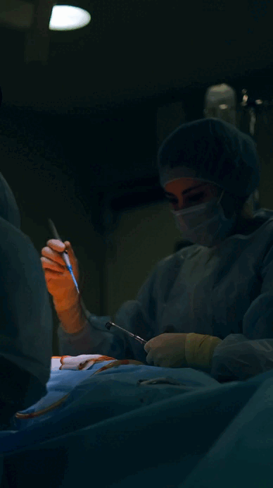 4769286-hd_720_1280_24fps